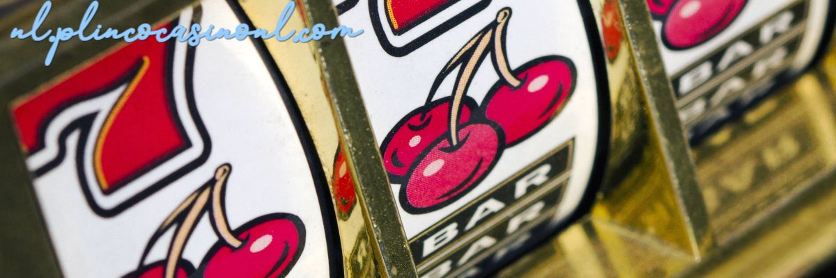 nl.plincocasinonl.com